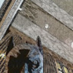 Meet your Posher, Dan